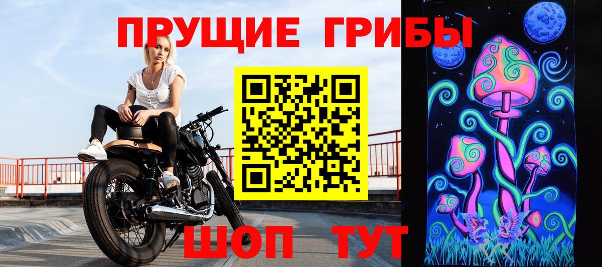 Псилоцибиновые грибы Magic Shrooms  Вход с VPN  Чайковский  Галлюциногенные грибы Psilocybine cubensis 