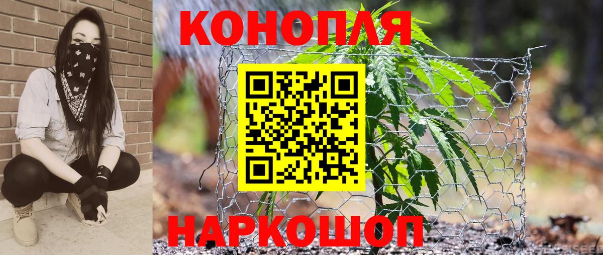 Бошки марихуана OG Kush  Канабис SATIVA & INDICA  Бошки марихуана White Widow  Чайковский  Бошки марихуана марихуана  Вход с VPN 